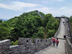 -黄贤森林公园