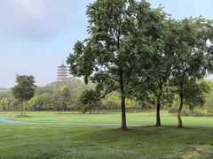 -宜兴龙背山森林公园