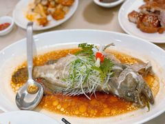 -益健美食大广场(北岭店)