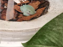 -杭州平安悦坊 PAFC LIVING