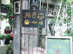 -猫色咖啡·猫咖