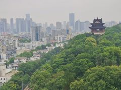 -黄鹤楼公园(黄鹤楼)