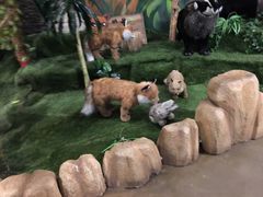 -济州岛泰迪熊博物馆