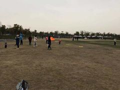 -春花秋色城市公园