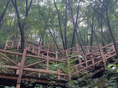 -大岭沟猕猴桃谷风景区