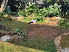 -海南热带野生动植物园