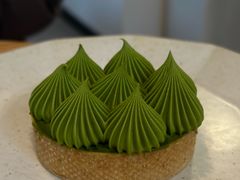 抹茶挞-猫里有甜