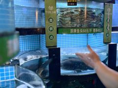 -千岛湖小鱼儿·淳安匠心农家菜