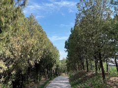 -白水寺森林公园