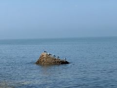 -长岛南北长山旅游景区