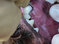 -汪喵宠物医院·骨科心脏影像·犬猫急重症ICU诊疗中心(成华分院)