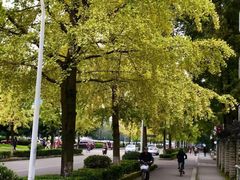 -四川大学(望江校区)