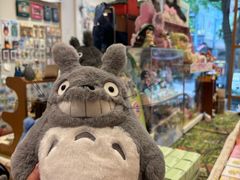 -猫的天空之城概念书店(大学路店)