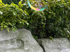 -重庆彩云湖湿地公园