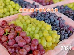 -新疆红山干果市场
