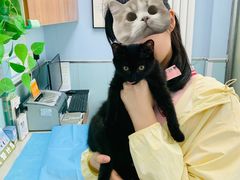 -纳吉亚猫专科动物诊疗中心(蒋宅口分院)