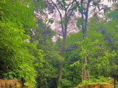 -飞霞风景名胜区