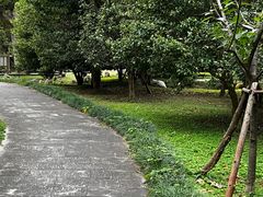 -福建鲤鱼洲酒店