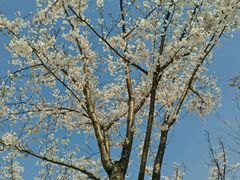 景观位-汉堡王(嘉定宝龙城市广场)