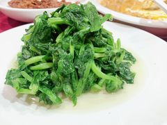酒香豆苗-老吉士酒家(天平路店)