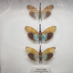 点击看大图 -酷嗒动物文化乐园(cutezoo西溪乐天城店)