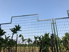 -西安赛瑞喜来登大酒店