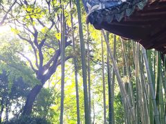 -秋霞圃