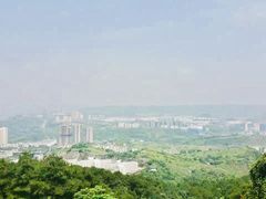 -铁山坪森林公园