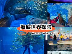 -太平洋海底世界