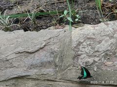 -紫霞湖公园