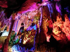 -渔太泰漓江小馆·广西融合菜(西街店)