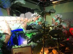 -恐龙探索乐园(磁器口店)