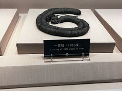 -青岛市博物馆