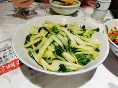 -壹盏灯(惠农店)