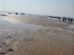 -老虎石海上公园