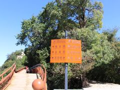 景点-少华山国家森林公园