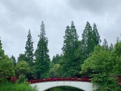 -东平国家森林公园