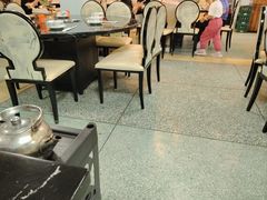 -鸭嘴鱼