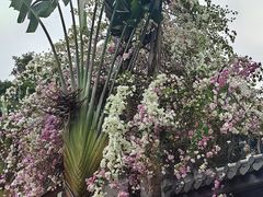 -深圳国际园林花卉博览园