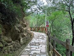 -大岭沟猕猴桃谷风景区