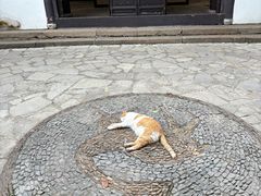 -上海醉白池公园