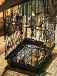 -酷嗒动物文化乐园(cutezoo西溪乐天城店)