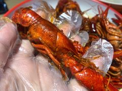 -堕落小龙虾(兰州旗舰店)
