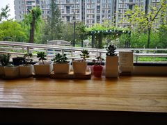 -Cafe Villa