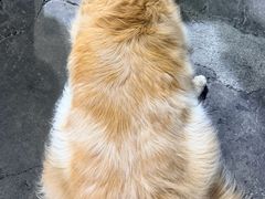 -吴记鲜定味