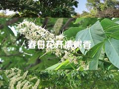 -丰台花园