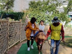 -萌宠亲子动物乐园(槐房万达店)