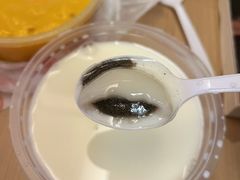 -豆豆冰室·地道招牌椰子冻(大良店)