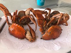 -鑫悦楼煎蟹·16年海鲜大排档