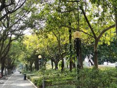 -南宁南湖公园